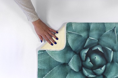 Kitchen rug Succulent plant from above