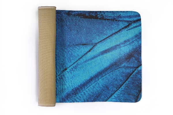 Rug Butterfly wing