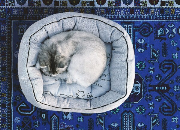 Universal vinyl rug Eastern style