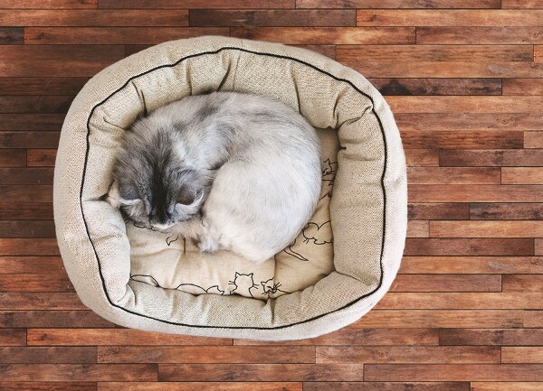 Interior PVC rug Striped board
