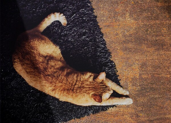 Fashionable vinyl rug Rusty sheet metal