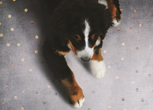 Vinyl floor mat Golden dots