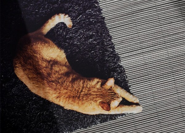 Indoor vinyl PVC carpet Bamboo mat